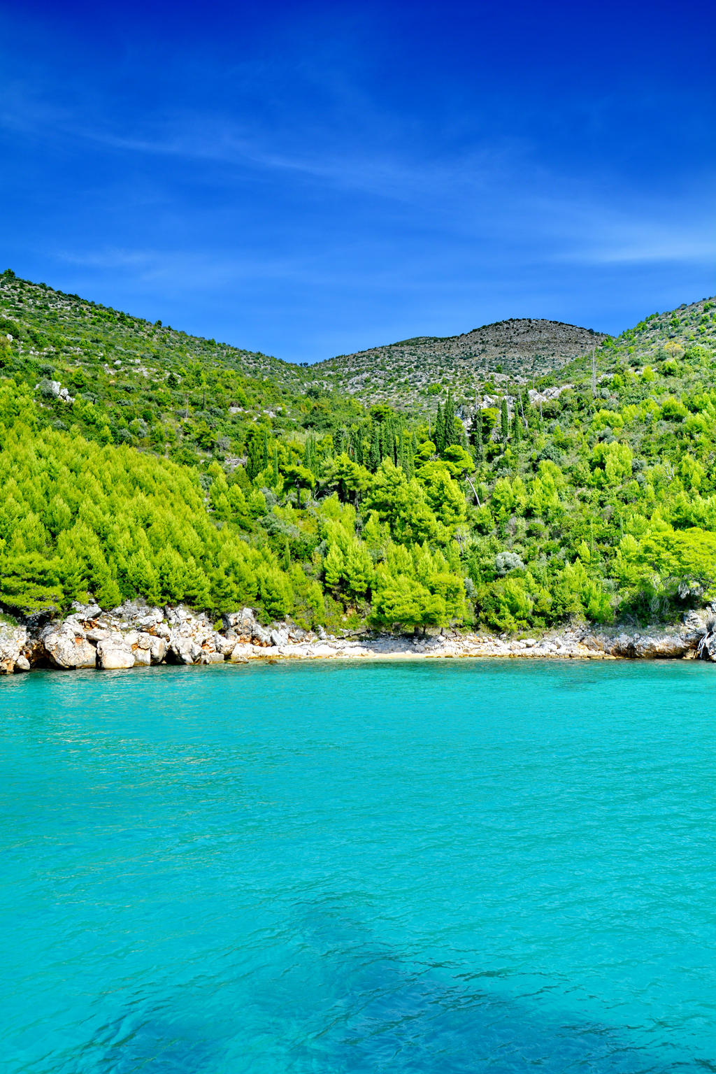 Crystal Waters